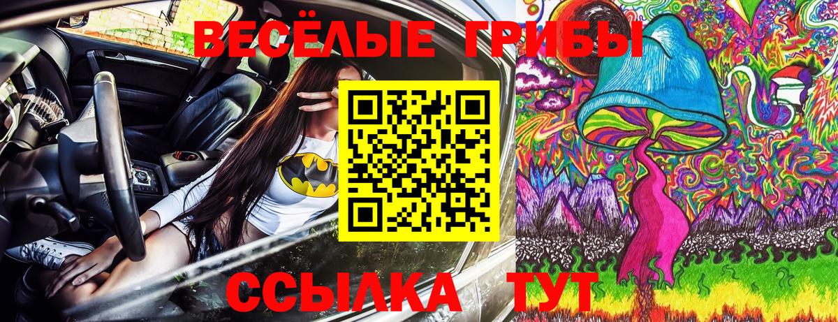 Псилоцибиновые грибы Cubensis Рязань